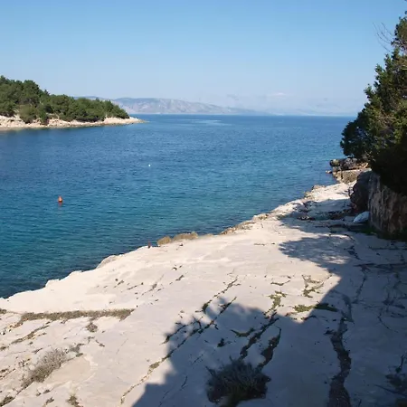 Jakov Basina