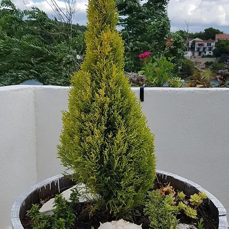 Apartamento Jakov *